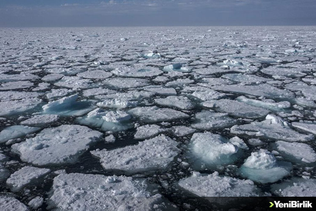 Azalan deniz buzu sadece kutup ekosistemini değil tüm dünyanın iklimini etkiliyor