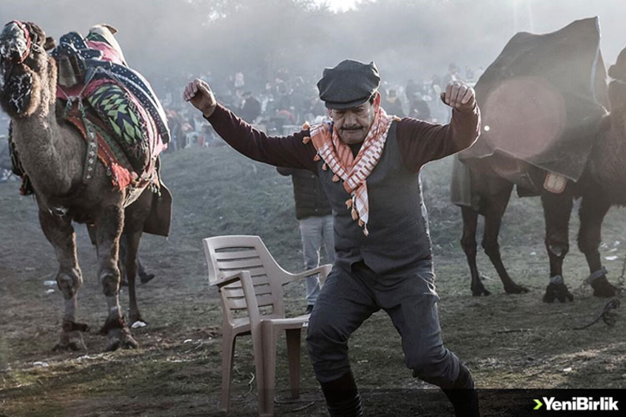 Batı Anadolu'nun ortak tutkusu: Pehlivan develer