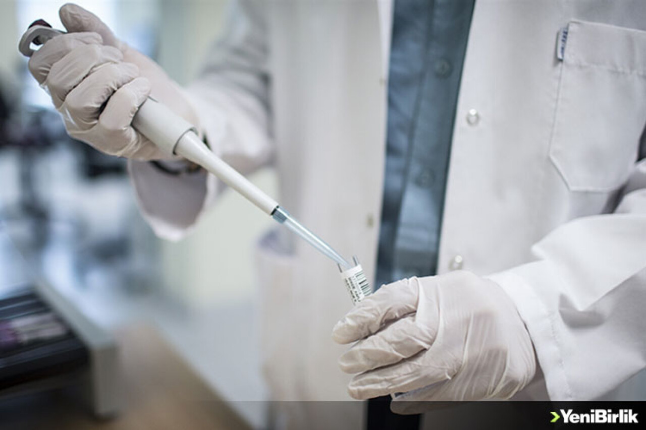 İnsan kanında plastik görülmesi ne anlama geliyor?