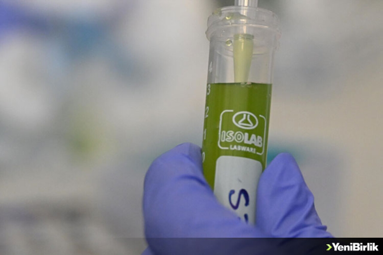 Türk bilim insanları mikroalglerle uzayda karbondioksiti oksijene dönüştürecek