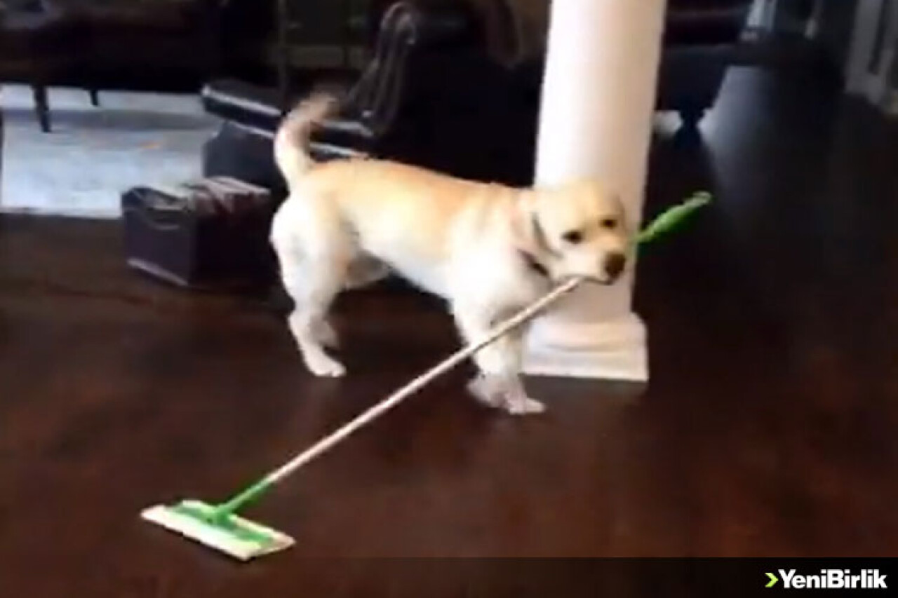 Temizlik Benden Sorulur