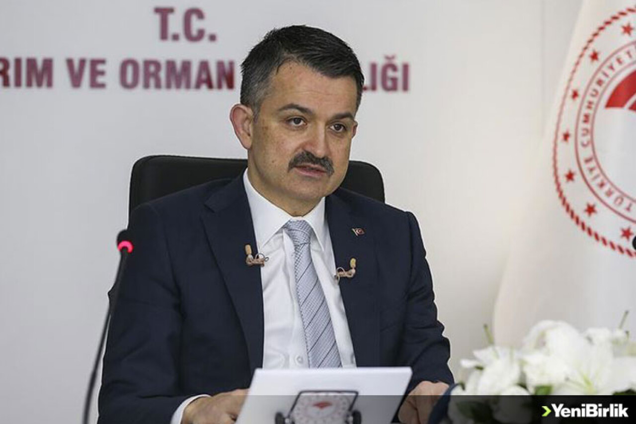 Kovid-19 aşısı için anti serum çalışmaları başladı