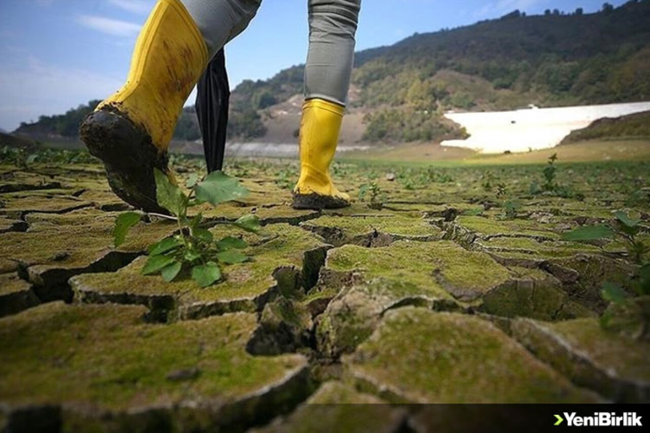 Müteahhitler küresel iklim değişikliğinin gölgesinde 'sürdürülebilir şehirlere' odaklandı
