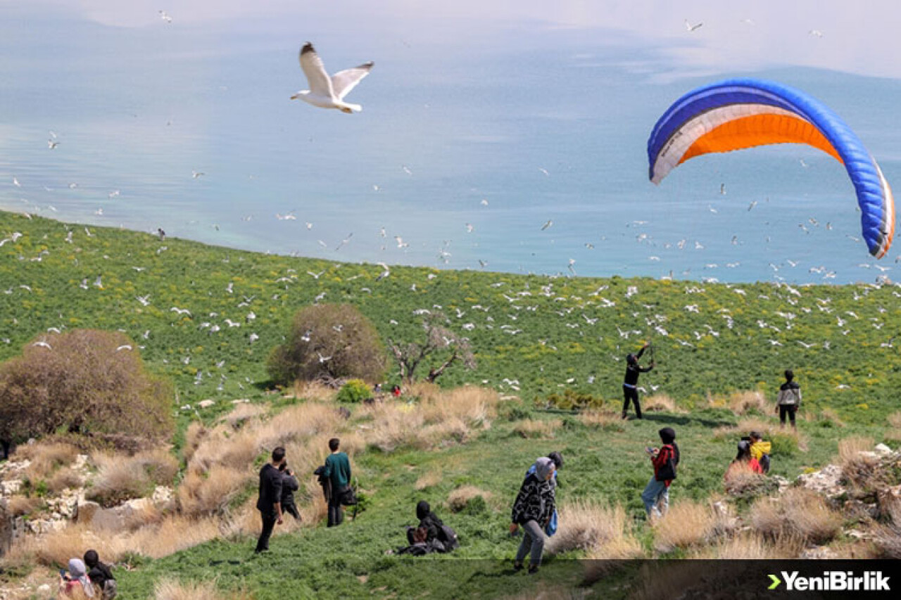 Van Gölü'ndeki Çarpanak Adası fotoğraf tutkunlarını ağırladı