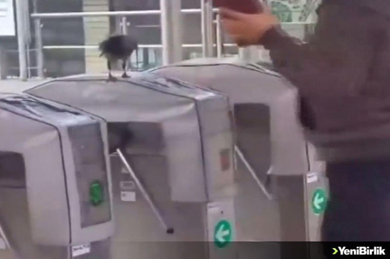 Karga Akbil Kontrolü Yaptı