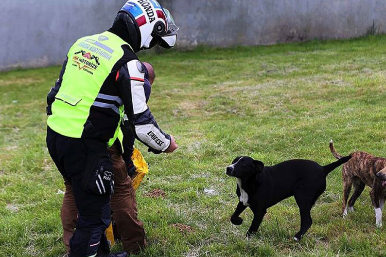 İHH Gönüllü Motorize Ekibi sokak hayvanlarına yiyecek ulaştırıyor