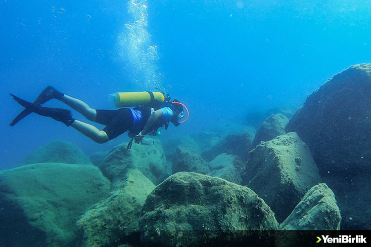 Doğu Akdeniz'deki fay kırığı deniz canlılarına yuva oldu