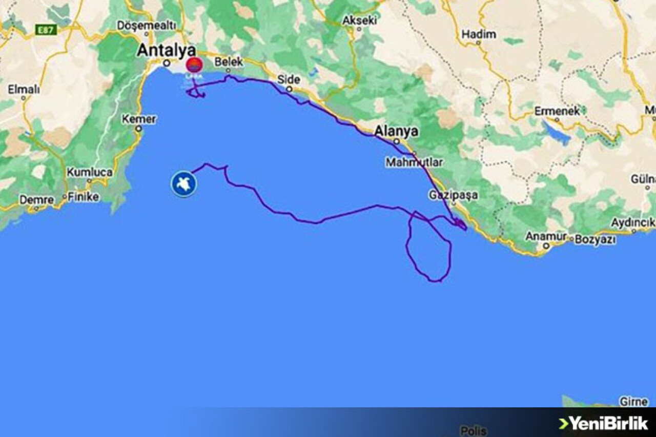 Uydudan izlenen caretta caretta "Lara", bir ayda 500 kilometre yol katetti