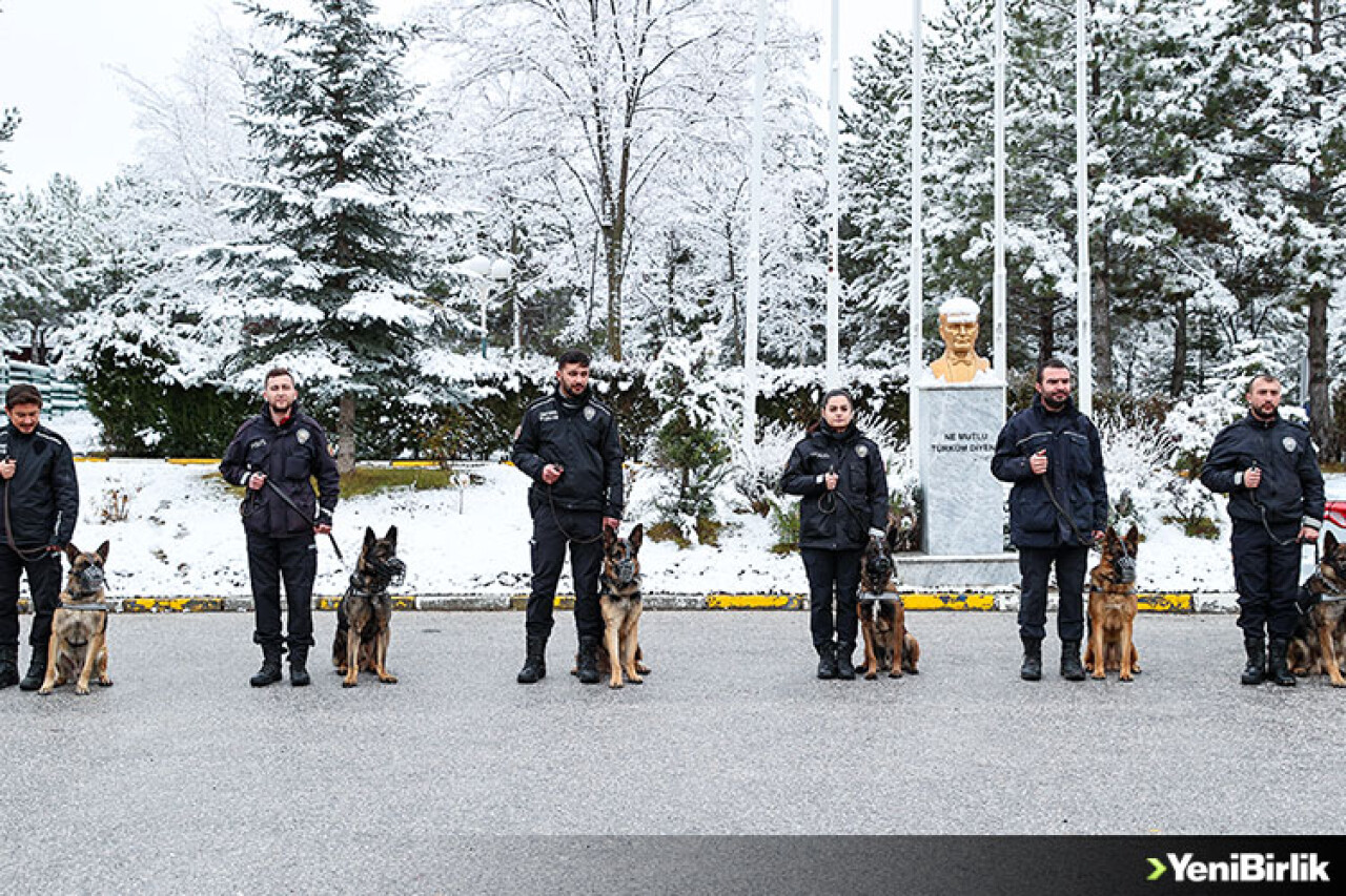 Operasyonların 'gizli kahramanı' dedektör köpekler