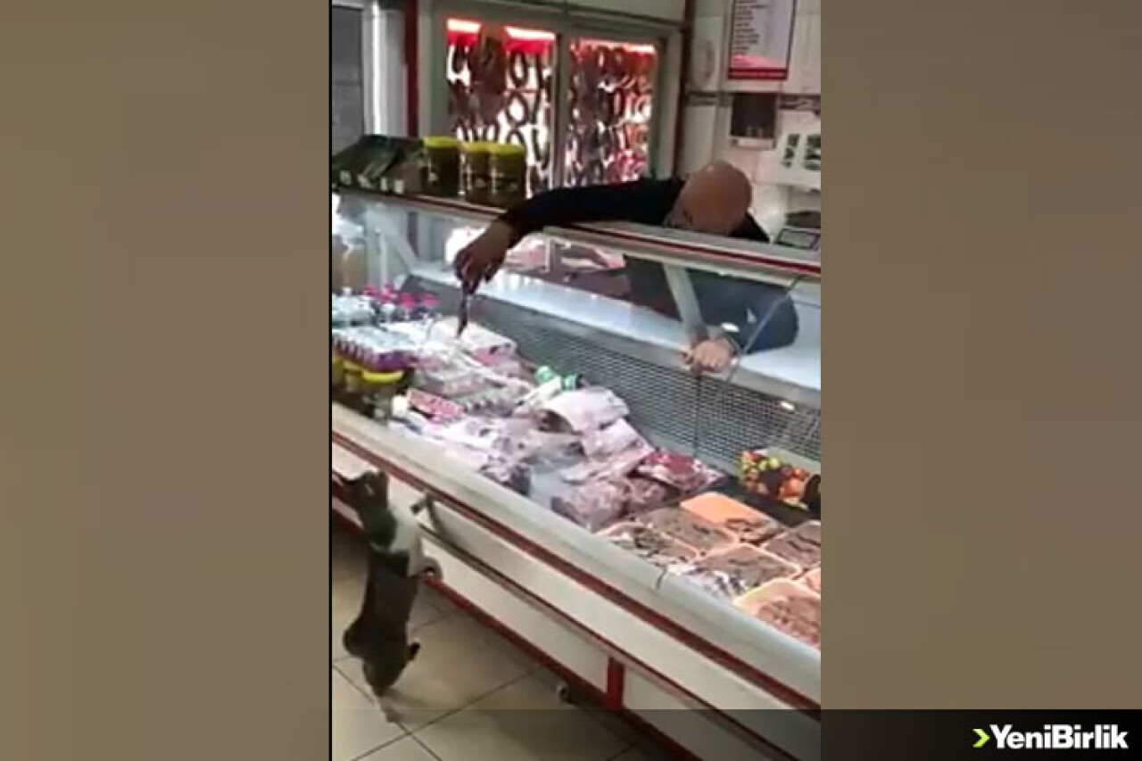 Kasap İle Kedinin Diyaloğu Sosyal Medyada Paylaşım Rekoru Kırıyor