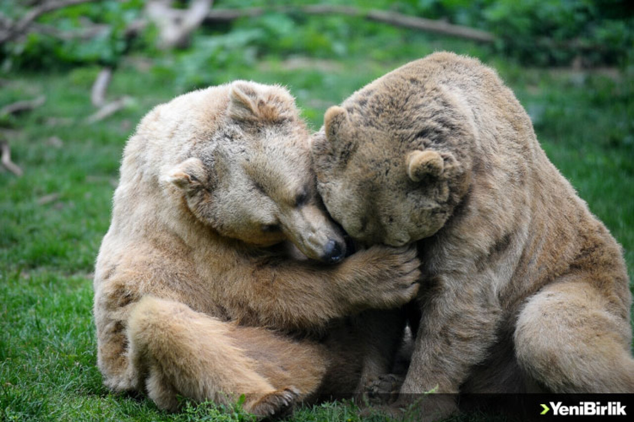 Mutlu Ve Keyifliler!