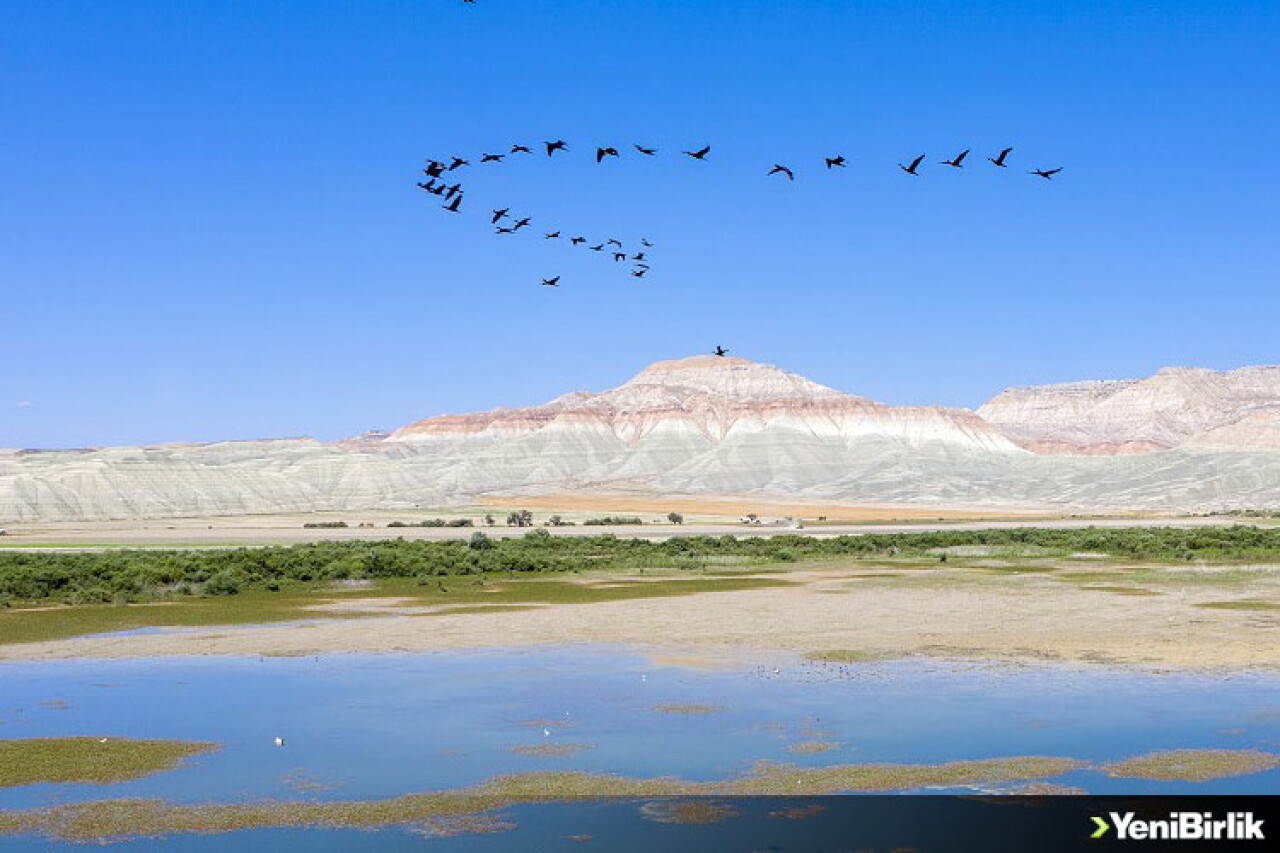 Türkiye'nin büyüleyen güzelliği: Kuş cennetleri
