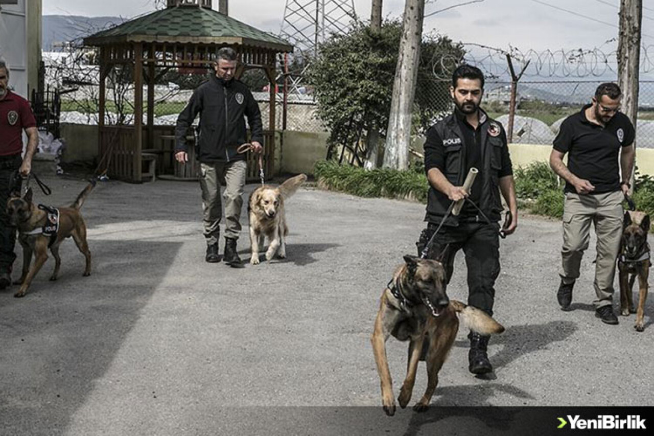 'Hassas burunlar' zehir tacirlerine geçit vermiyor