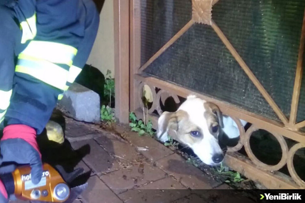 Kafası Demir Parmaklığa Sıkıştı: İtfaiye Yardımına Yetişti