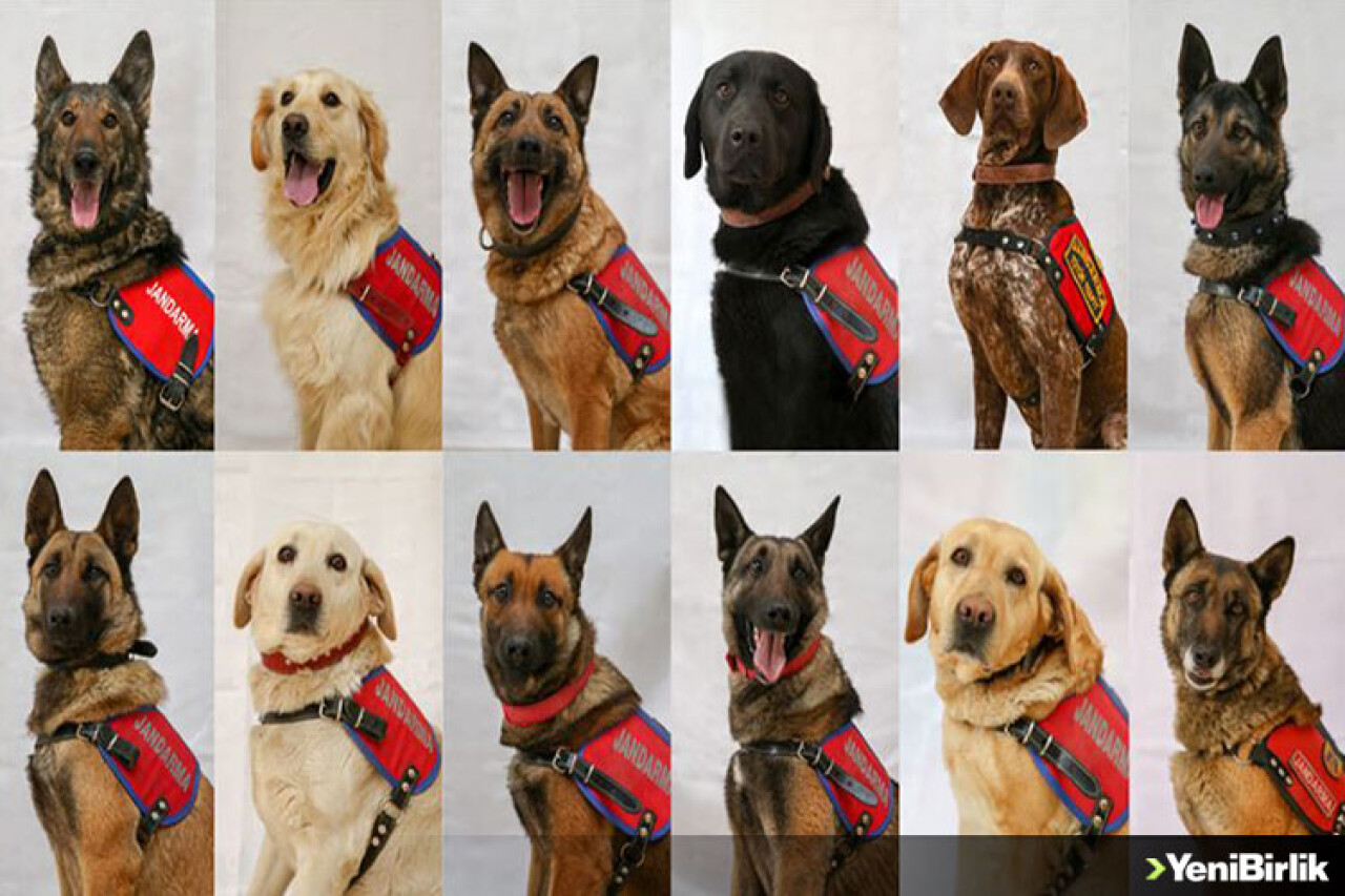 'Süper burunlar' suçu önlüyor