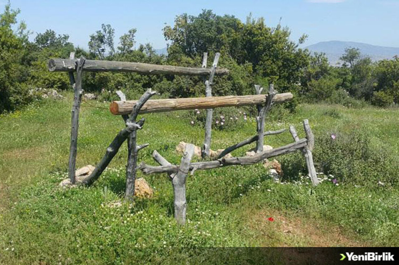 İşte Terör Örgütünün Afrin'deki Eğitim Alanı!..