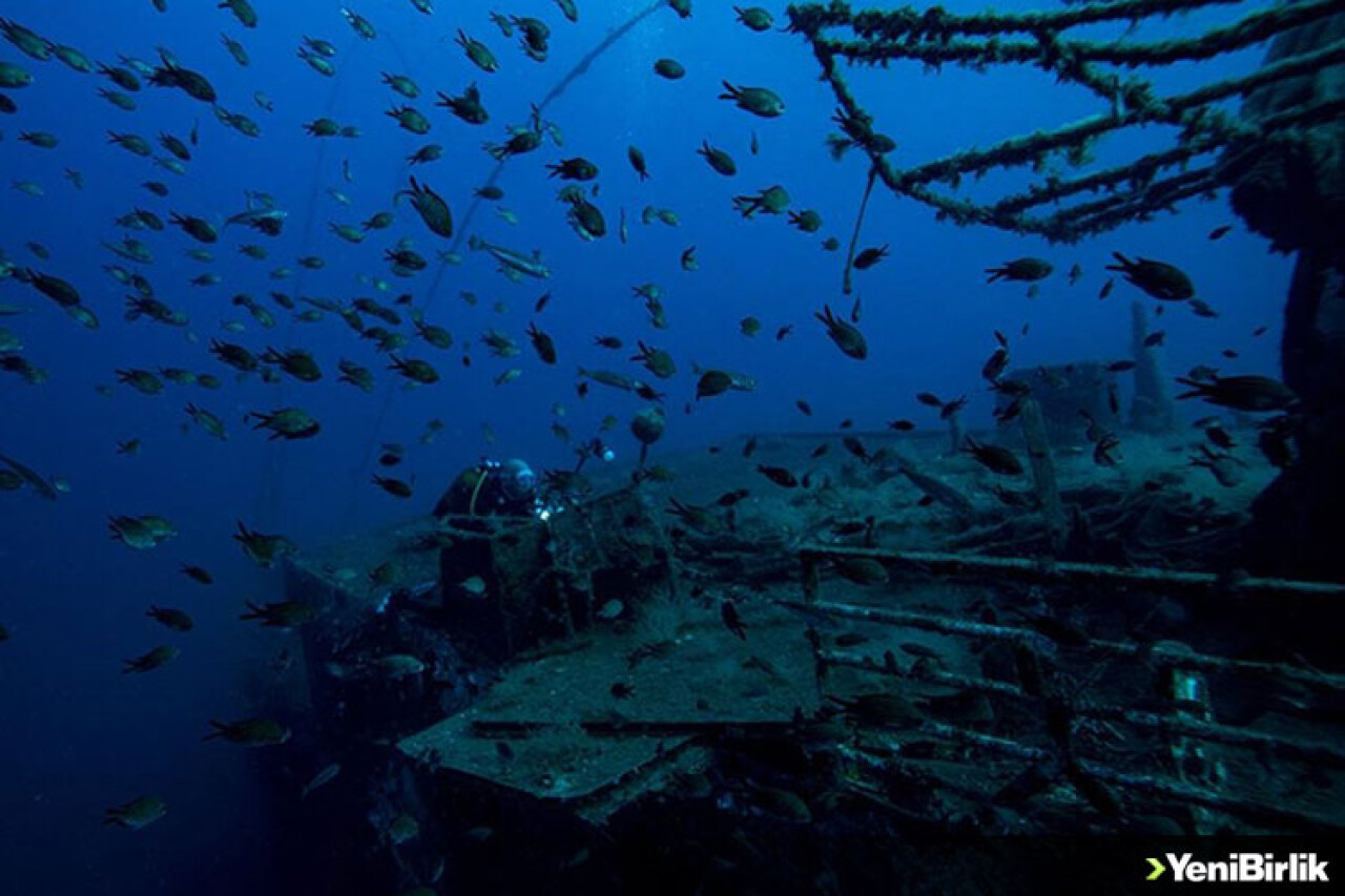 Su altı fotoğrafçılarının aradığı kareler İzmir kıyılarında