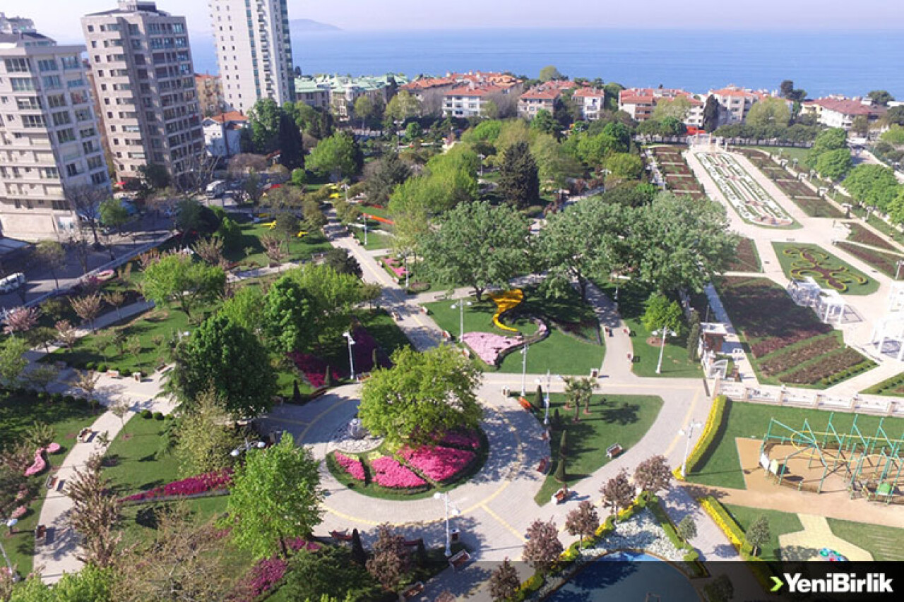 'Konuşan Ağaçlar Projesiyle' Teknoloji Çevreyle Buluşuyor