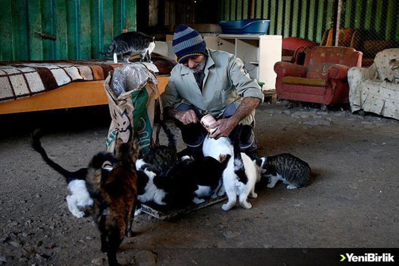 Sokak hayvanlarının fedakar dostu