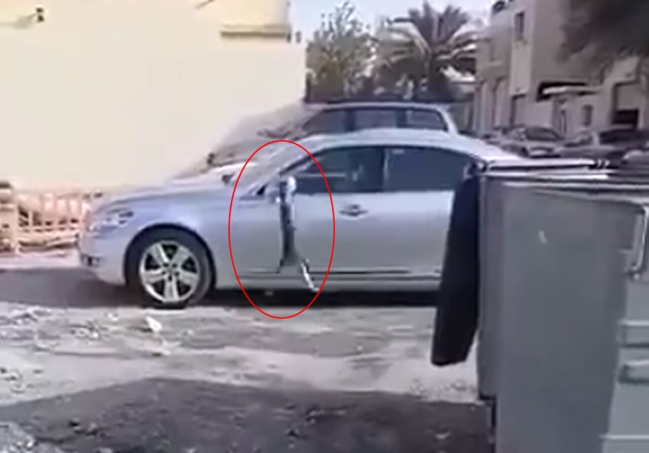 Amatör kuş avcısı gülümsetti