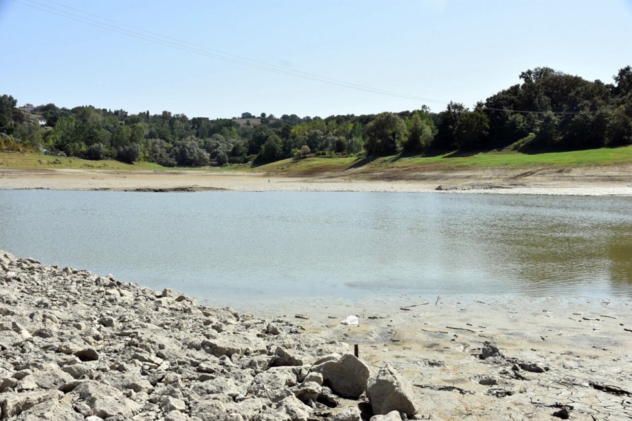 Gölet kurudu, balıklar telef oldu