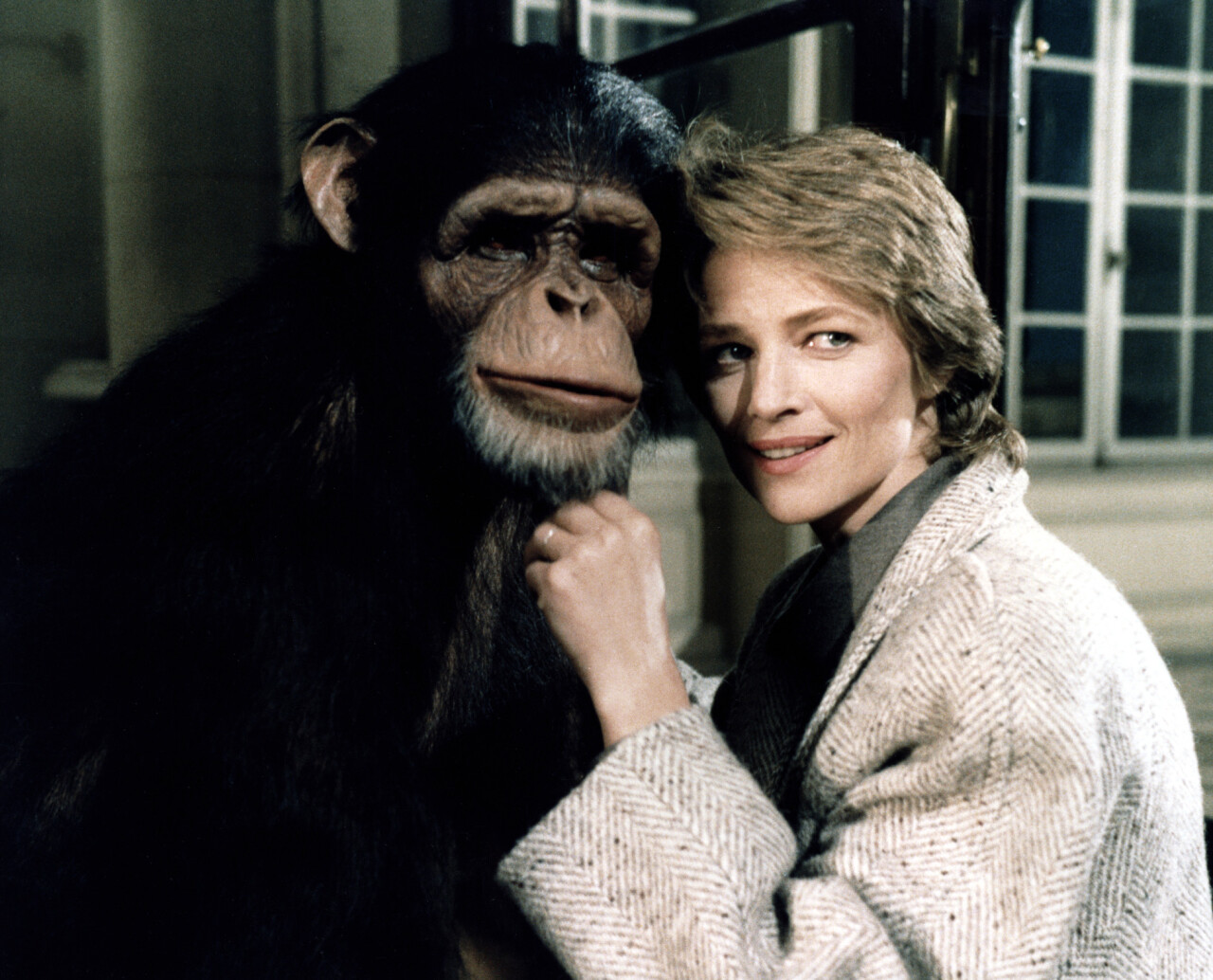 İstanbul Modern Sinema’nın yeni programında insan ve hayvan başrolde