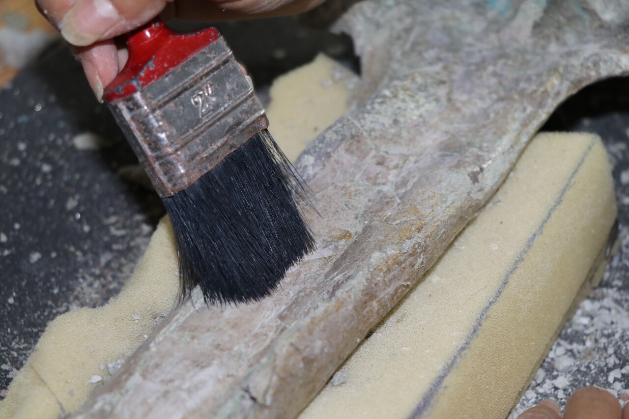 9 milyon yıllık fosillerin çıktığı Çorakyerler'de bu sezon 150 fosil bulundu