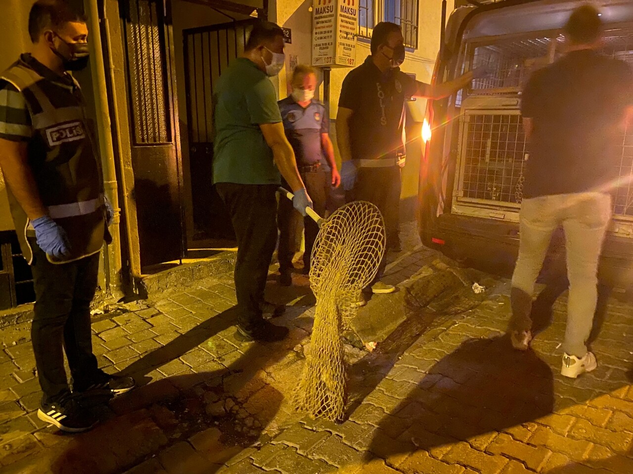 Aydın'da bir evde tutulan 16 kedi ve 1 köpek, şikayet üzerine kurtarıldı