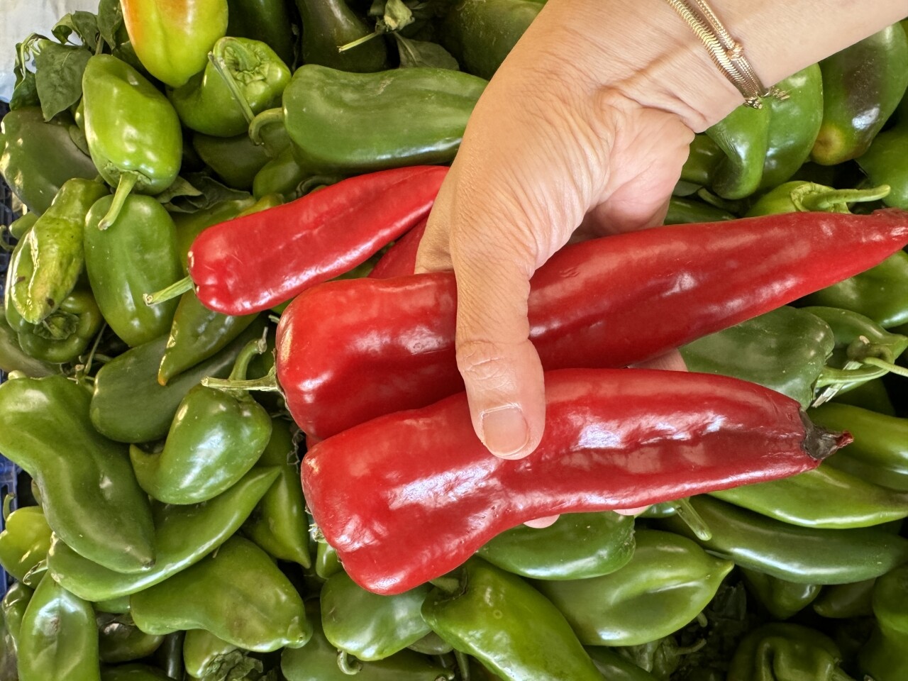 Batı Akdeniz'in 9 aylık ihracatı 2 milyar dolara yaklaştı