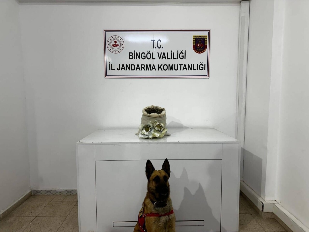 Bingöl'de 11 kilo 250 gram esrar ele geçirildi