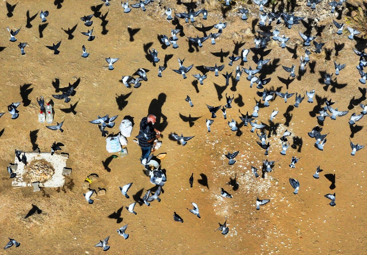 Doktorun yürüyüş önerisi kuşlara yaradı