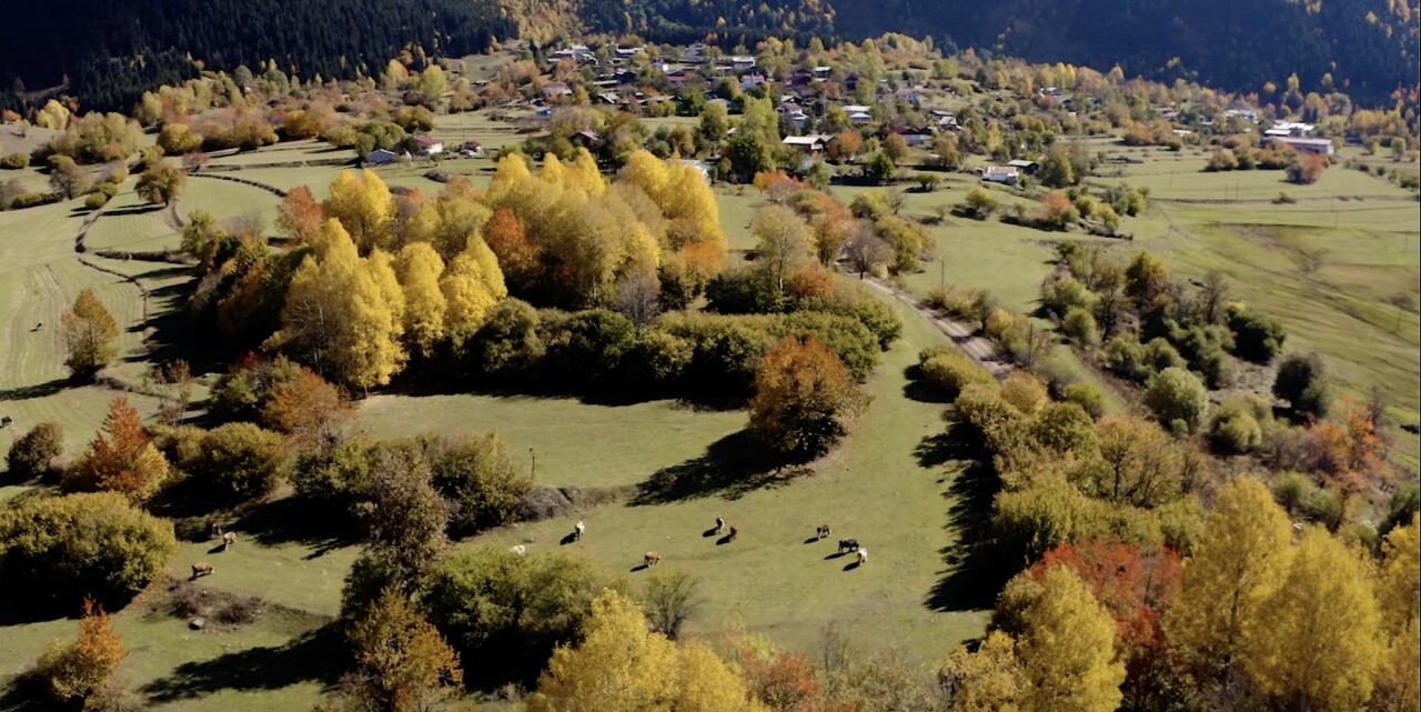 "Sakin şehir" Şavşat'ta sonbahar kendini göstermeye başladı