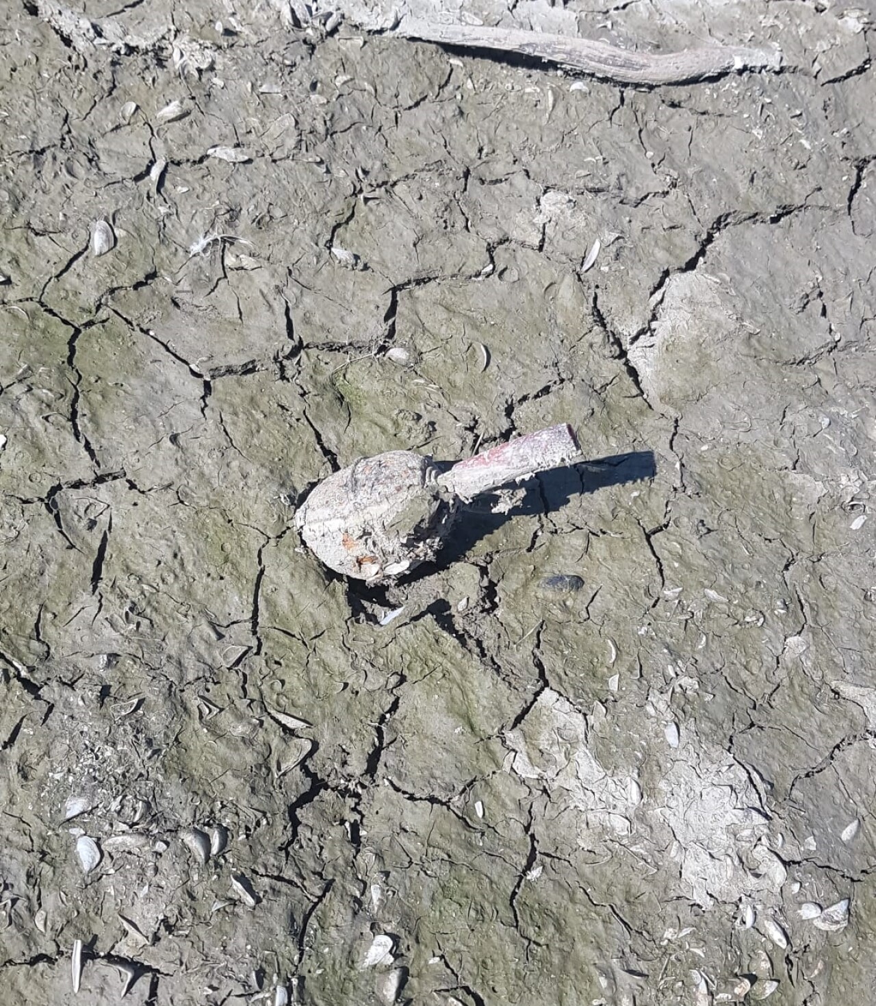 Suyun çekildiği baraj gölünde el bombası bulundu