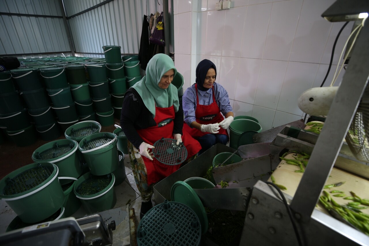 "Türkiye'nin kadın ahisi" Çanakkaleli Hafize Ergen'in turşuları yurt dışına da gönderiliyor