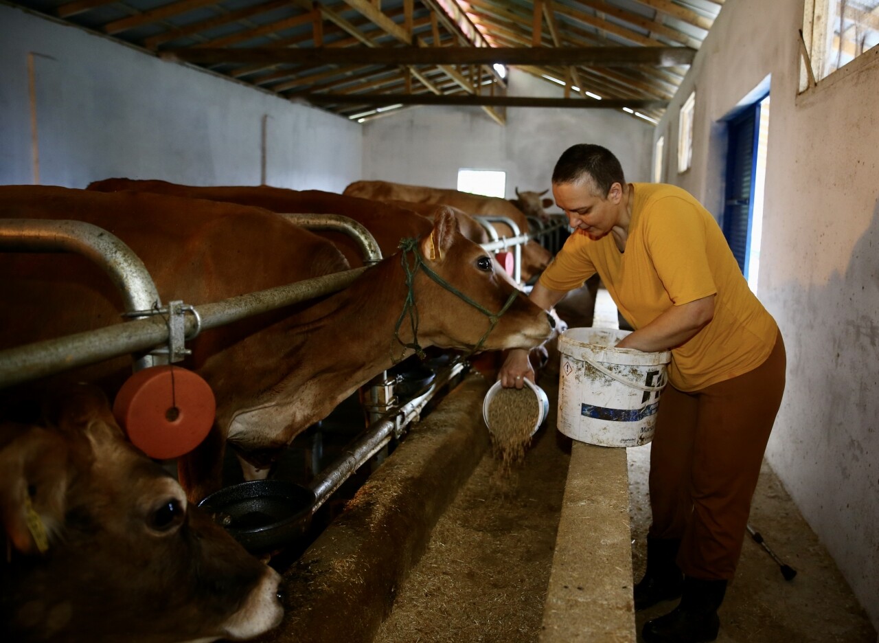 Yürüme engelli kadın, hayvancılık sayesinde yaşama bağlandı