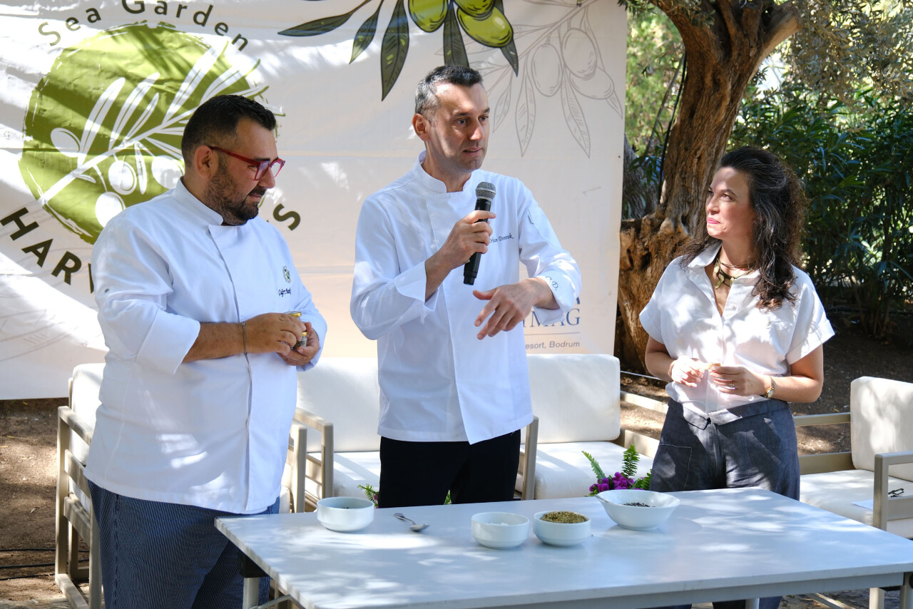 Sezonun ilk zeytin hasadı yapıldı