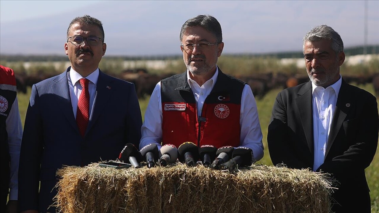 Kırmızı et fiyatlarını düşürecek adım