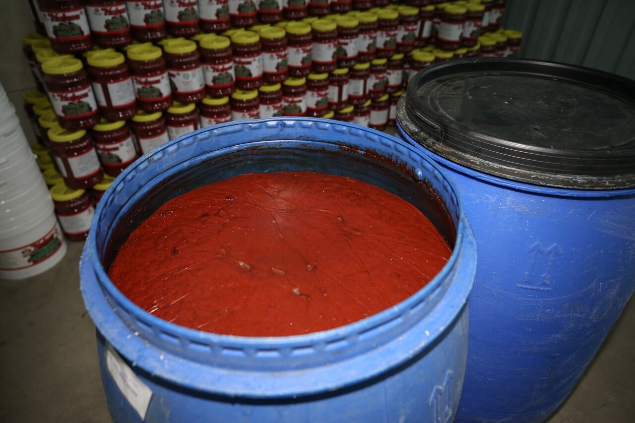 50 yıllık kooperatifi yıllık 2 bin 500 ton salça üretiyor