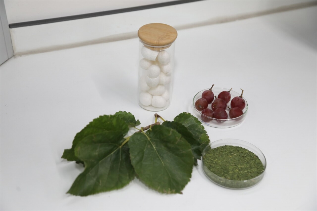 Diyabet hastalarına özel gıda kaplaması geliştirildi