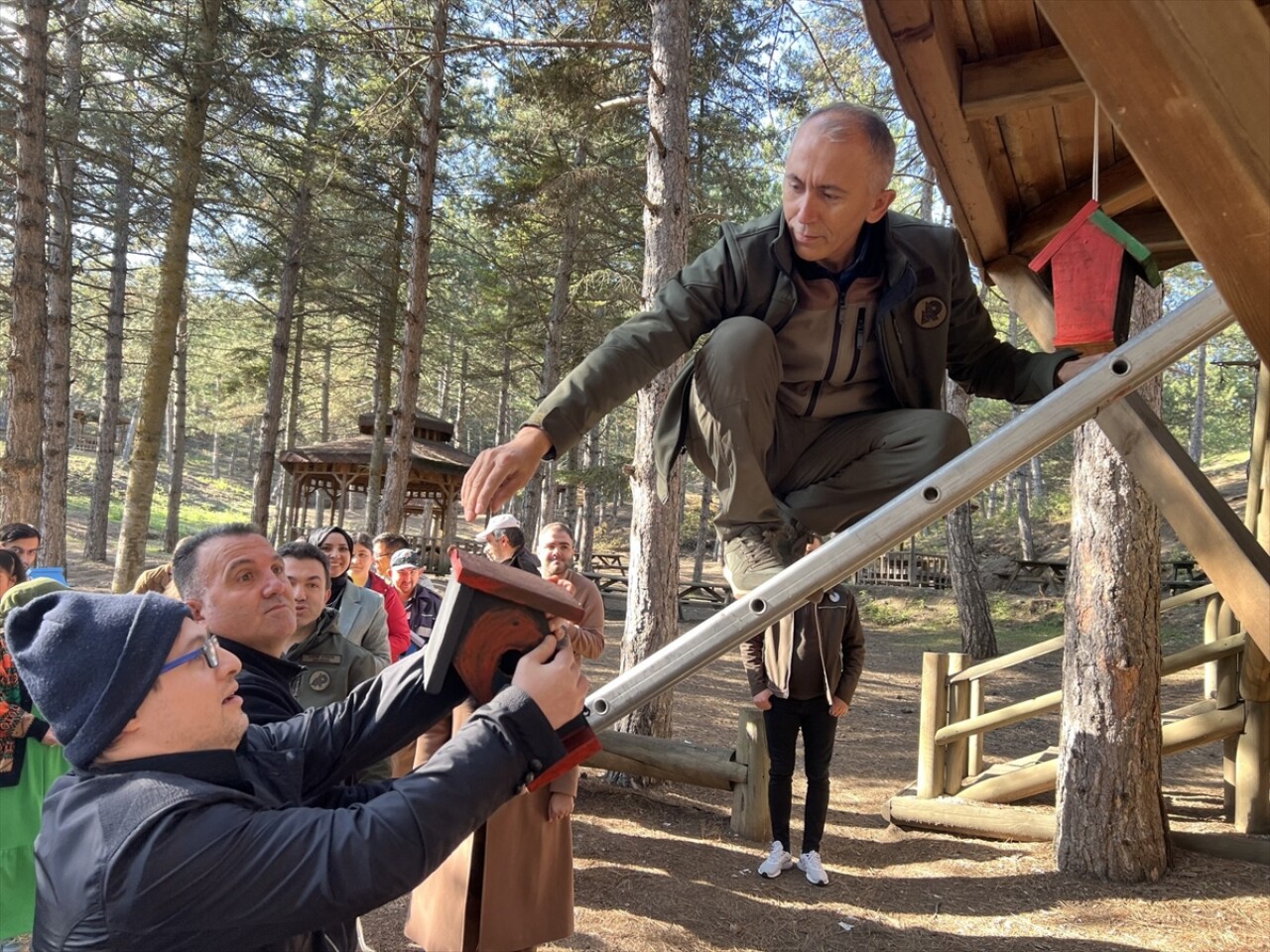 Engelli öğrencilerin boyadığı kuş evleri tabiat parkına yerleştirildi