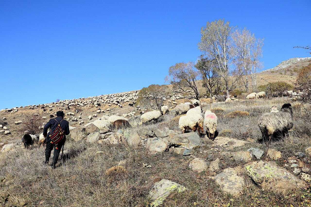 Karadenizli göçerlerin bir ay süren zorlu dönüş yolculuğu başladı