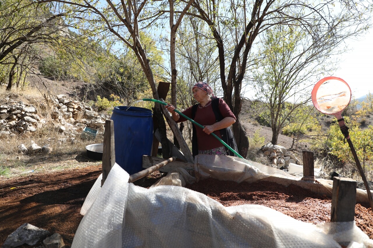 Toroslar'dan sofralara uzanan lezzet andız pekmezi