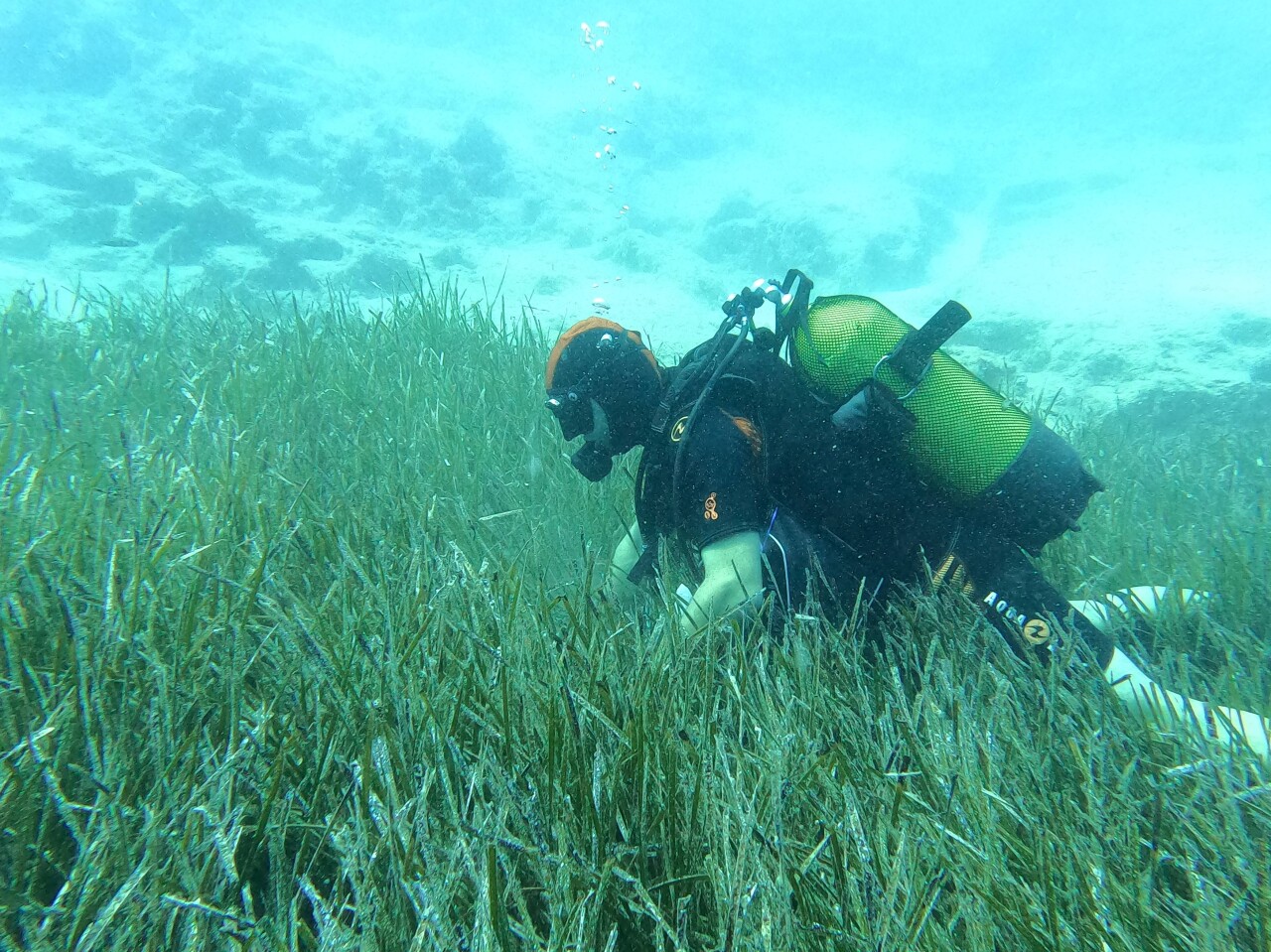 Mavi Nefes Projesi’yle 3 yılda 250 tona yakın atık toplandı