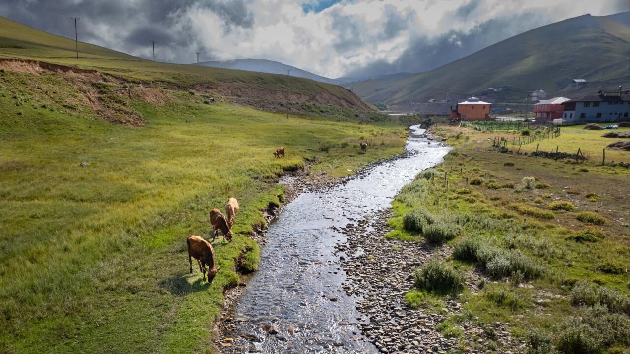 Gümüşhane'de yaylalar 15 Mayıs'a kadar kapalı kalacak