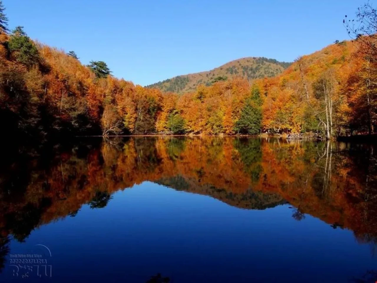 Yedigöller Milli Parkı: Doğanın Kalbinde Eşsiz Bir Cennet