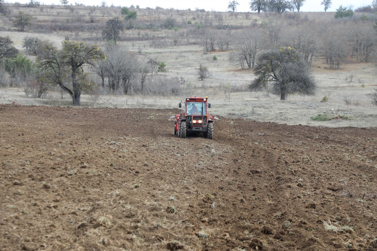Ordu'da 200 dönümlük atıl araziyi tarıma kazandırdı