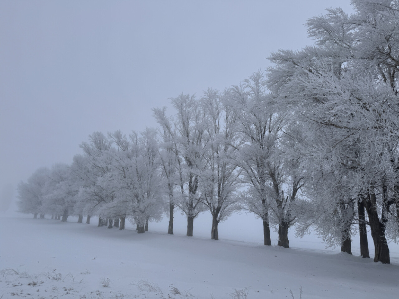 Meteoroloji’den kuvvetli rüzgar, buzlanma, don ve çığ uyarısı