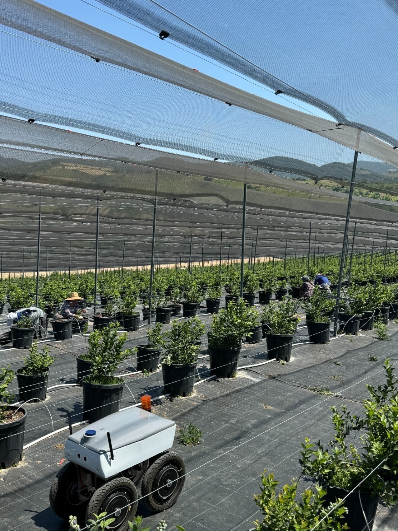 Tarım Teknolojilerinde Bir İlk: CERN’e Kabul Edilen Tek Şirket Türkiye’den