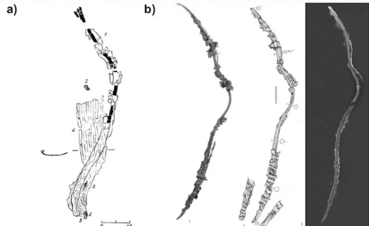 Mısır’dan Sincan’a uzanan yay izleri: Tarihin en etkili silahlarından biri hakkında bildiklerimiz yanlış çıktı! 2