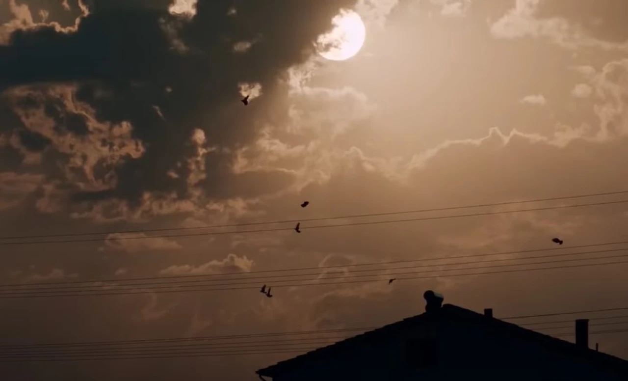 Güvercin Hırsızları Filminin Konusu Ne, Sonu Nasıl Bitiyor? Oyuncu Kadrosu, Nerede Ne Zaman Çekildi?